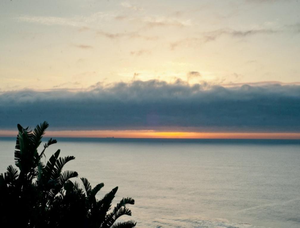 The Tides Inn Bed And Breakfast Durban Bagian luar foto